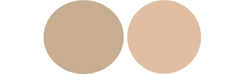 Principal Color Palette